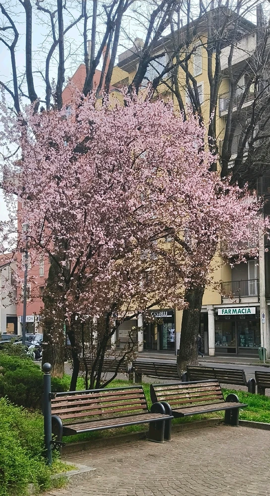 GIF uploaded by Carolina