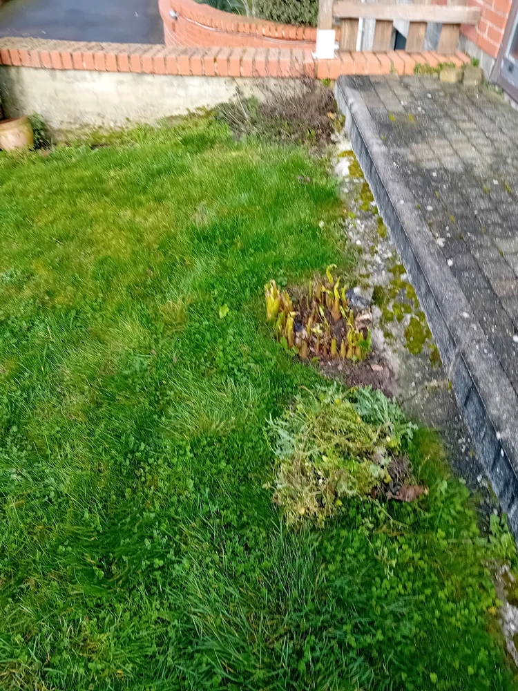 Image ajoutée par Marie