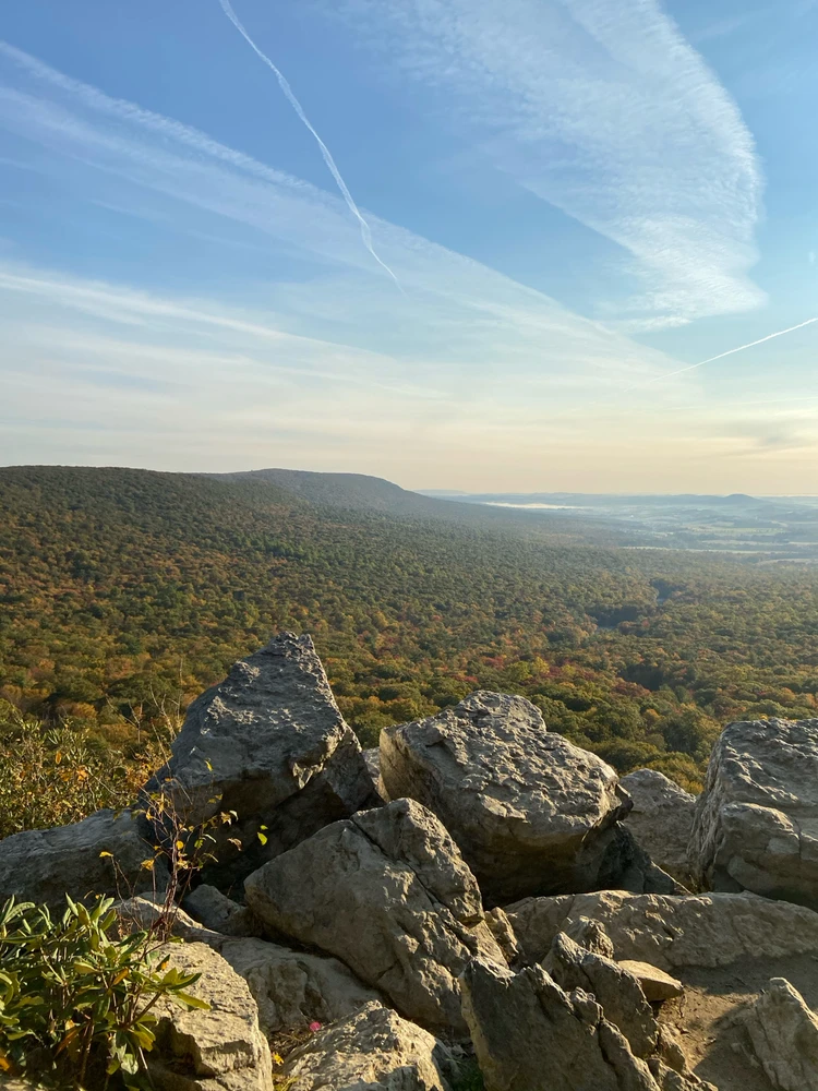 Image uploaded by Ryan