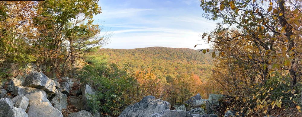 Image uploaded by Ryan