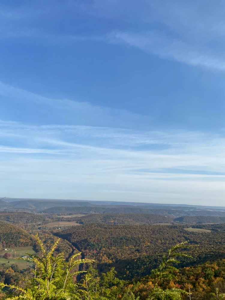 Image uploaded by Ryan