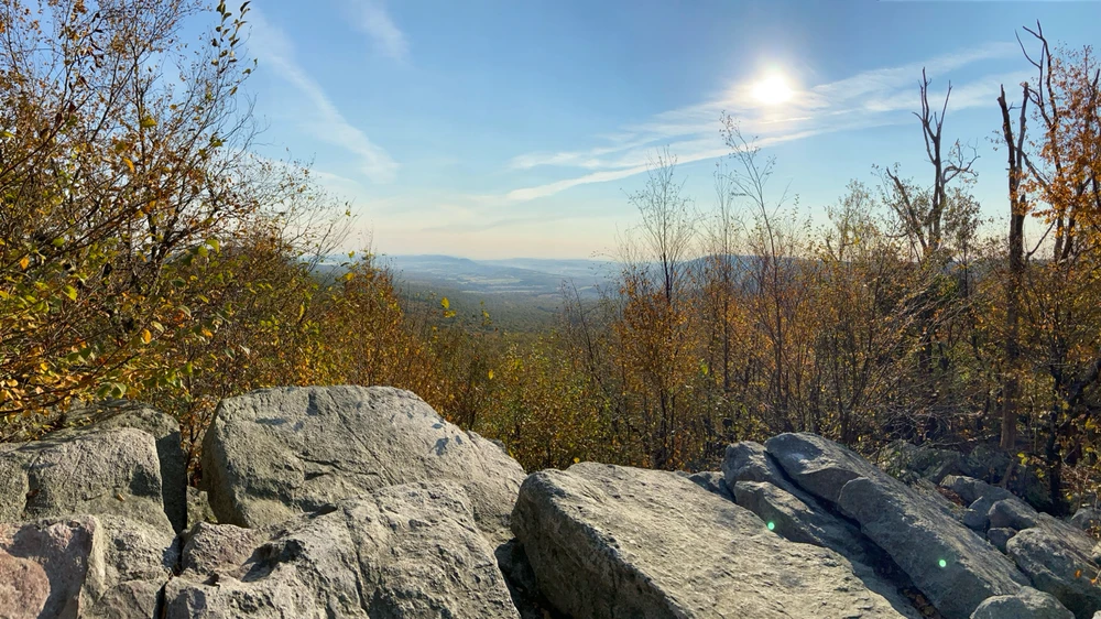 Image uploaded by Ryan