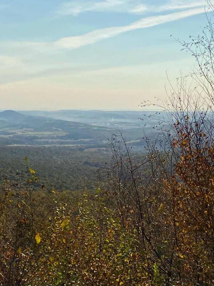 Image uploaded by Ryan