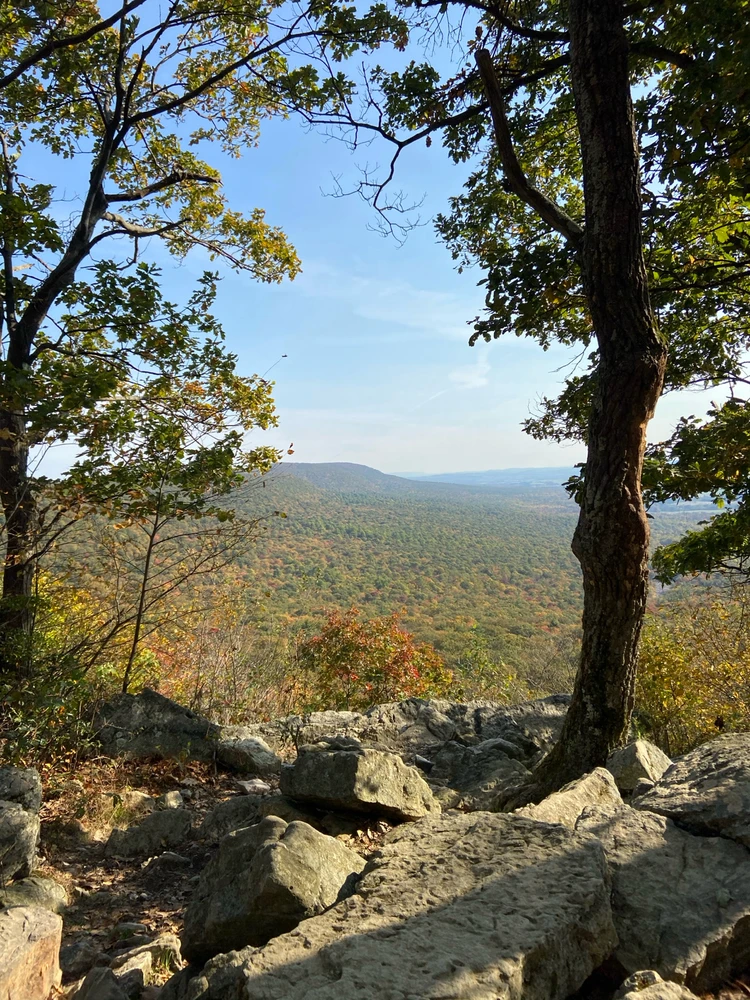 Image uploaded by Ryan