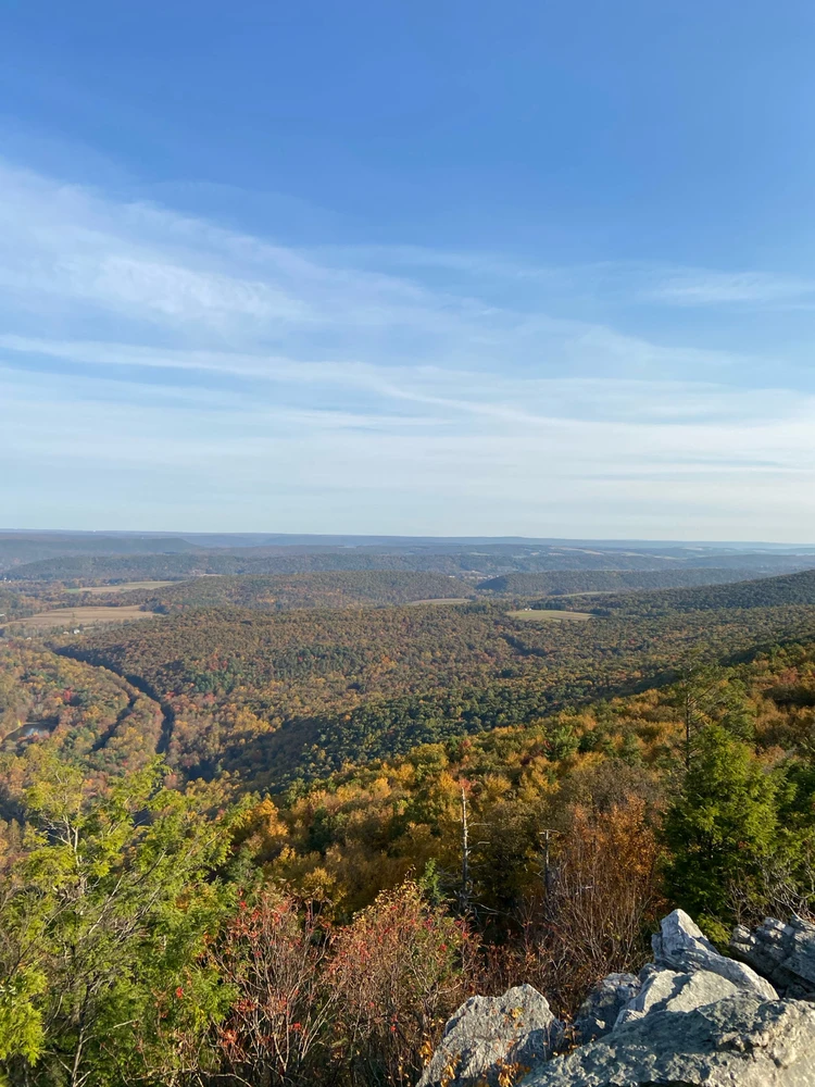 Image uploaded by Ryan