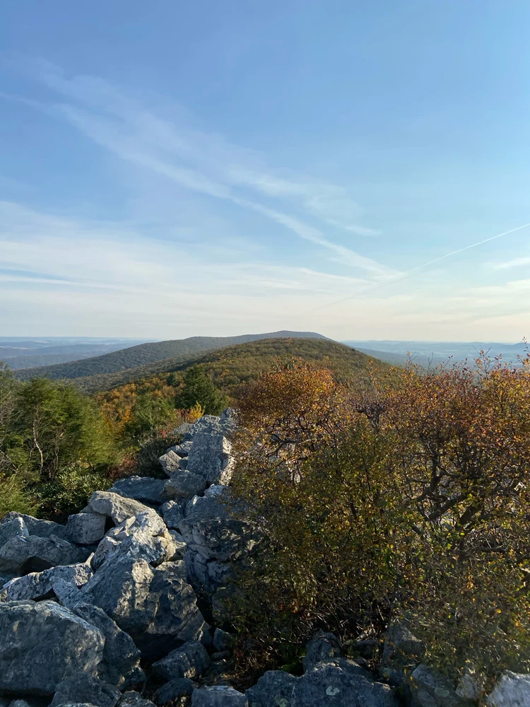 Image uploaded by Ryan