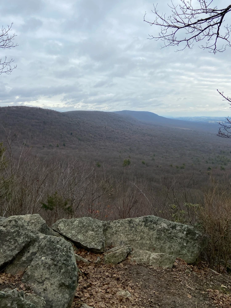 Image uploaded by Ryan