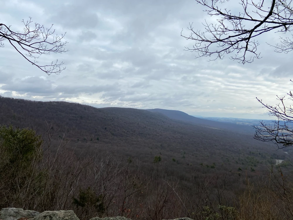 Image uploaded by Ryan