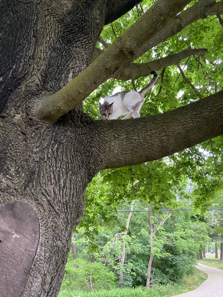 Image uploaded by Ryan