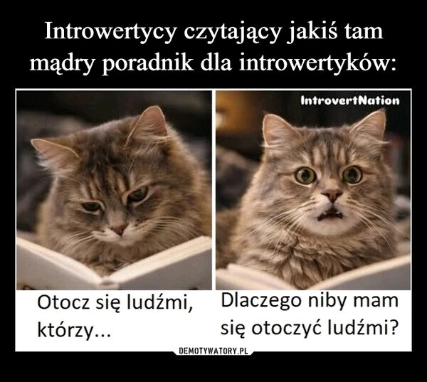 GIF dodany przez Maciek