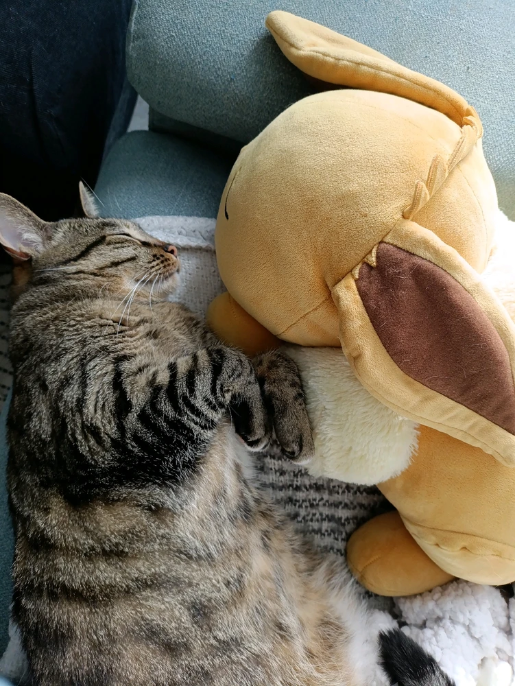 GIF uploaded by Pauline