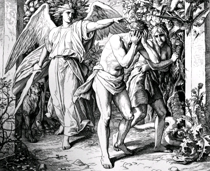 GIF dodany przez Bob