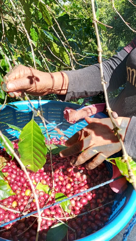 GIF uploaded by Manu