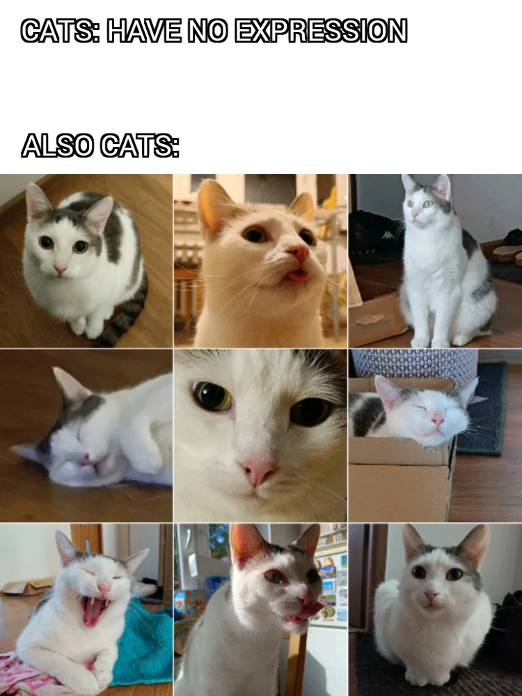 GIF dodany przez Łukasz