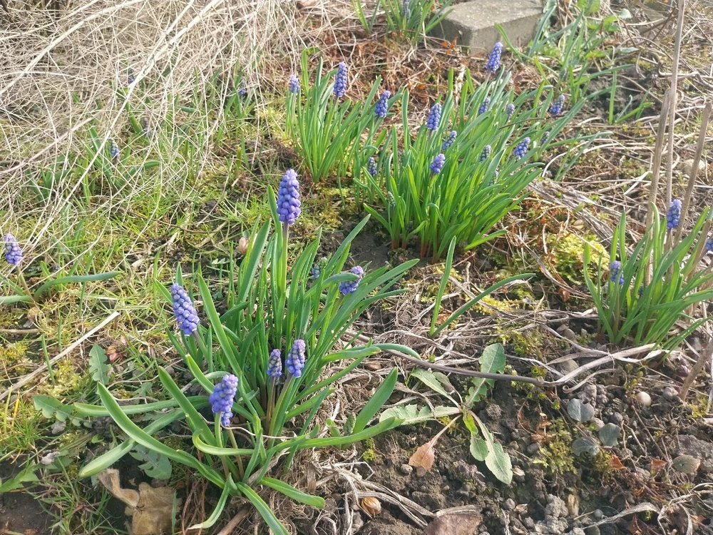 Bild hochgeladen von felix