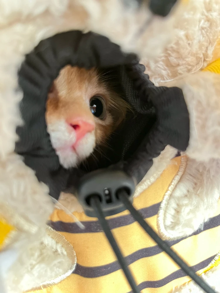 Image uploaded by Yuyun