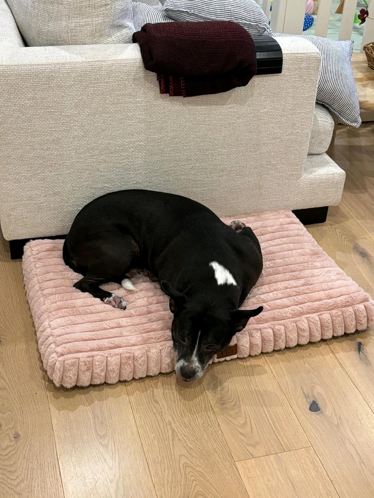 GIF uploaded by John