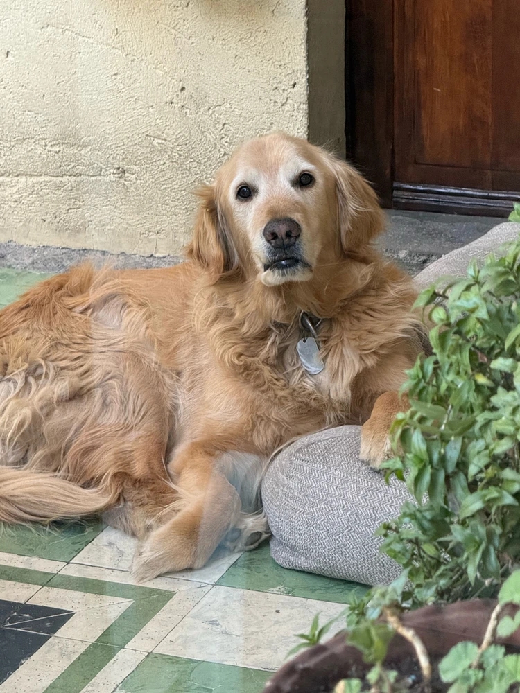 GIF uploaded by Roberto