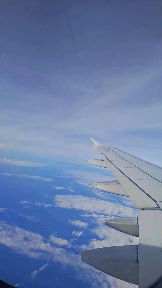 Image uploaded by Sarah