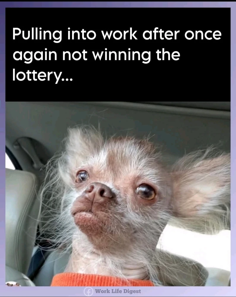 GIF uploaded by Nyrie