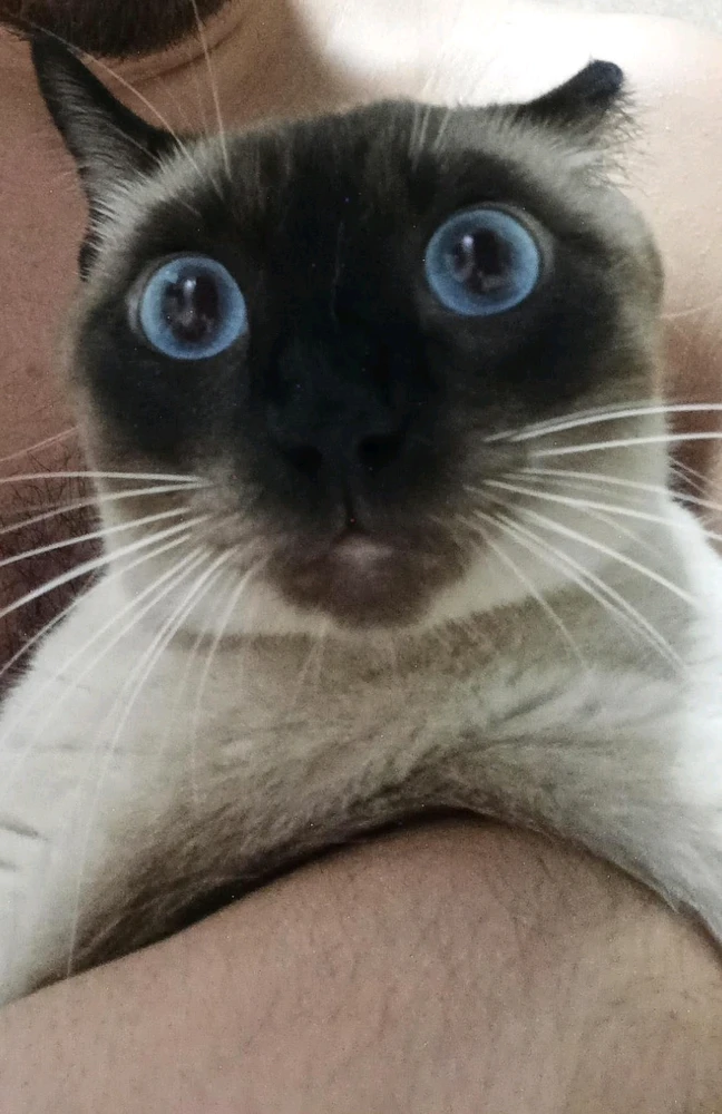 GIF enviado por Cayo