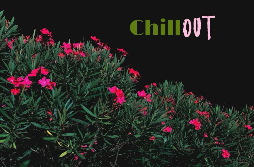 GIF uploaded by Mickey