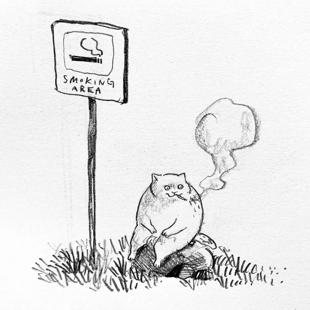 GIF uploaded by David