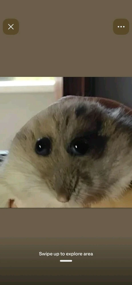 Image uploaded by Jasmine