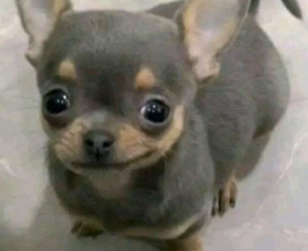 Image uploaded by Jasmine