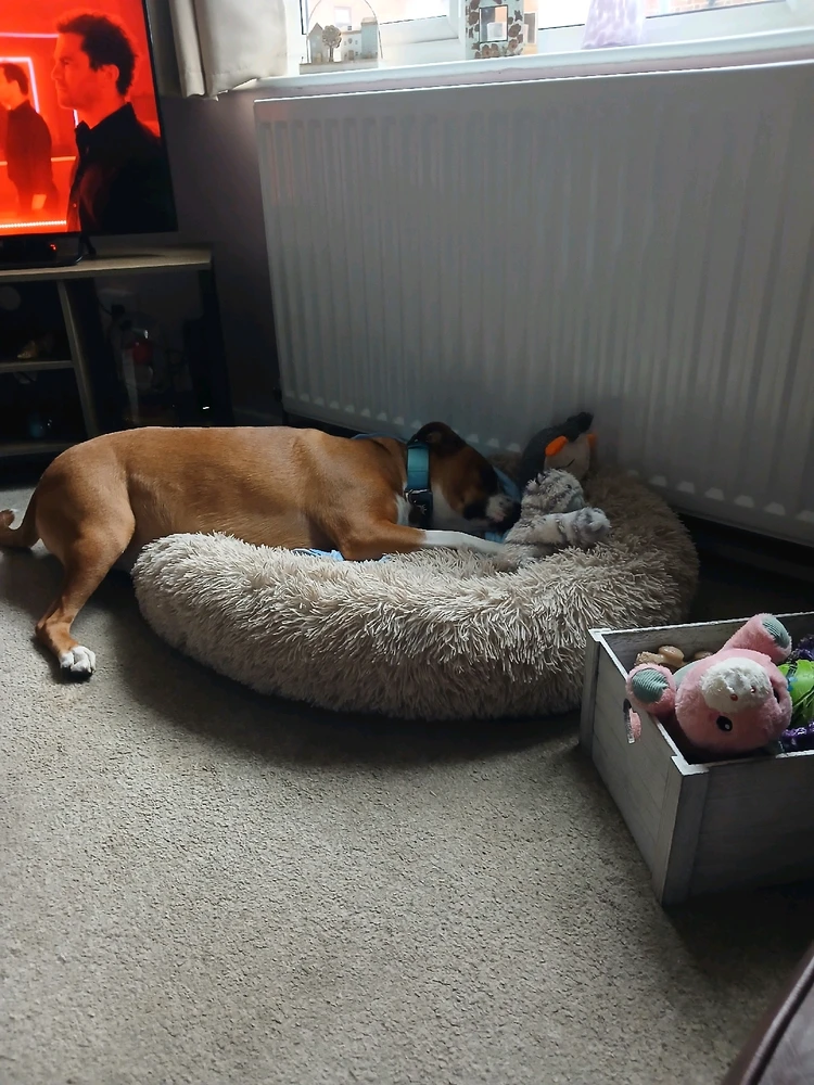 GIF uploaded by Vicky