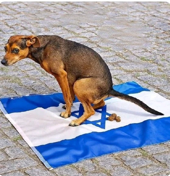 TEO tarafından yüklenen görsel