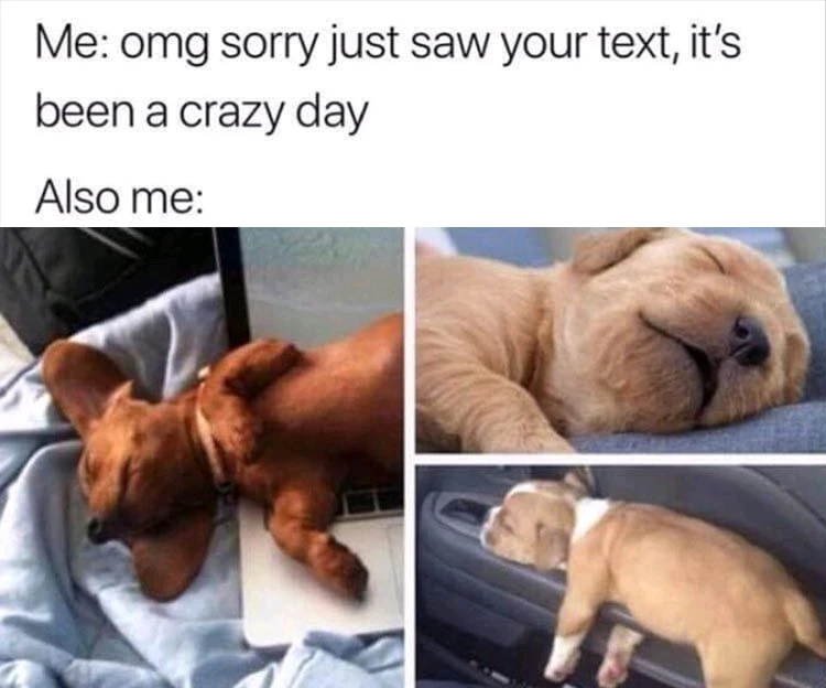 GIF hochgeladen von Koray