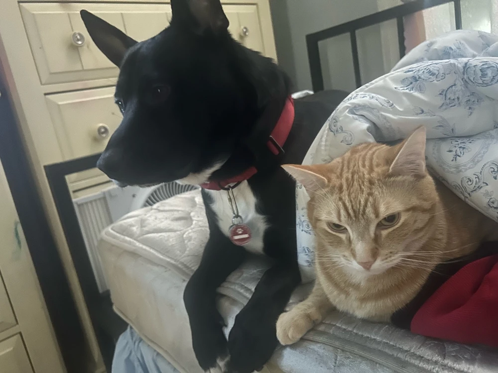 GIF uploaded by Athena