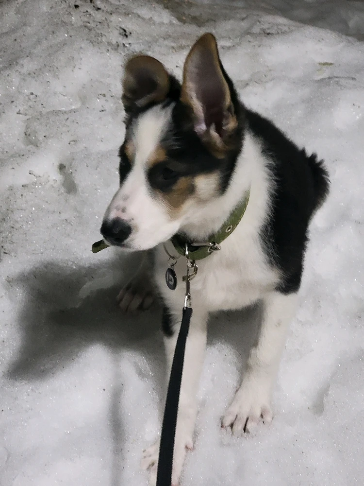 GIF uploaded by seraph