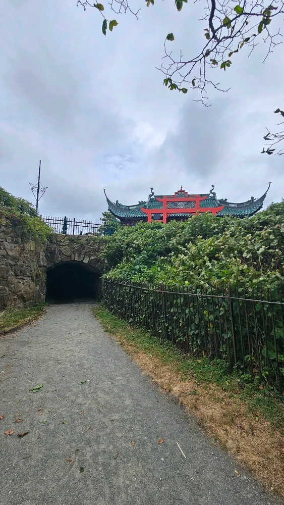 Image uploaded by Jordi