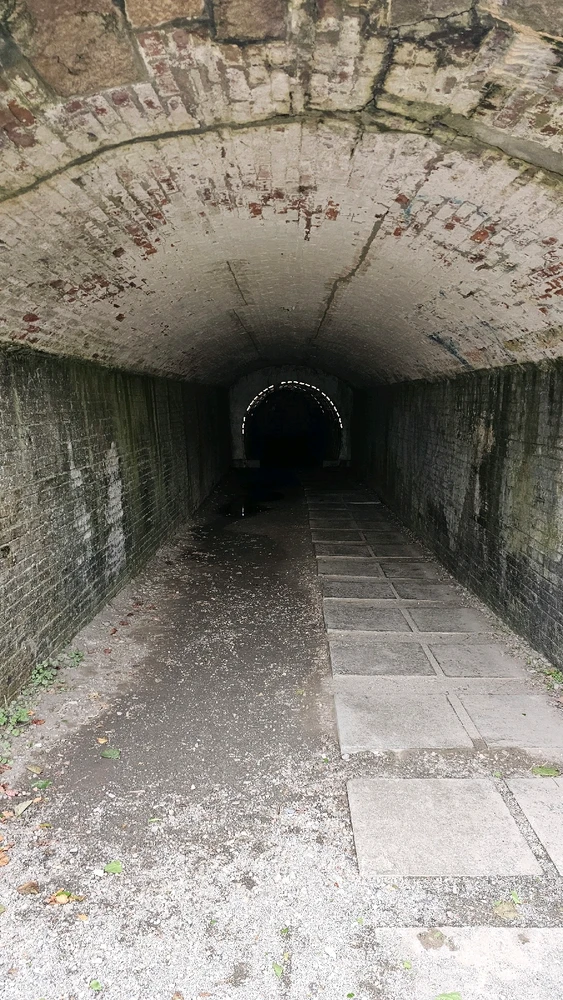 Image uploaded by Jordi