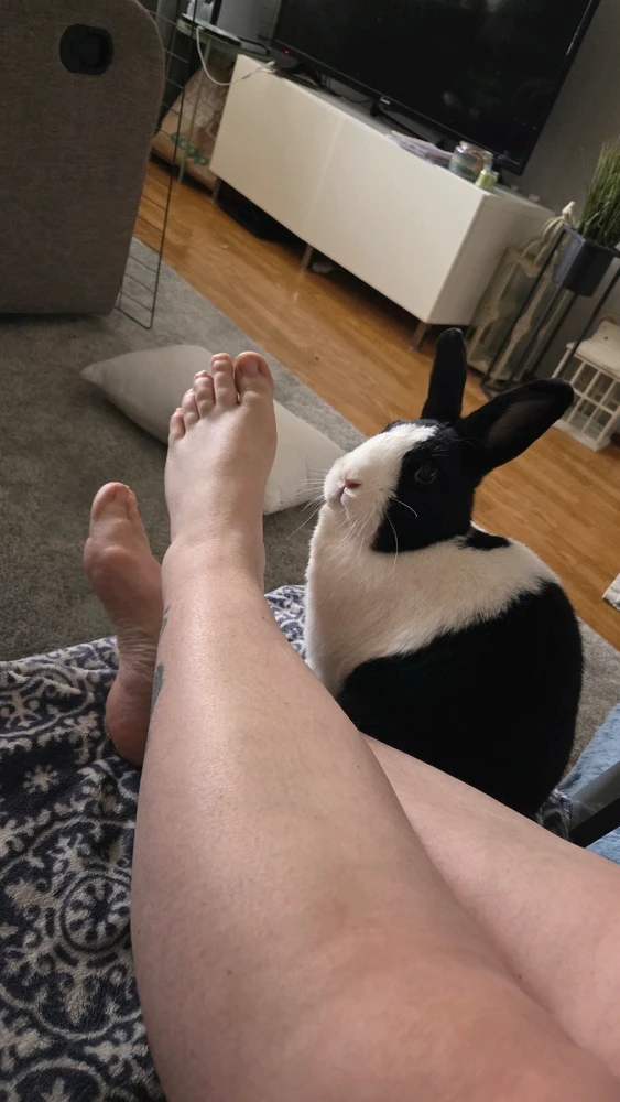 GIF uppladdad av Jess