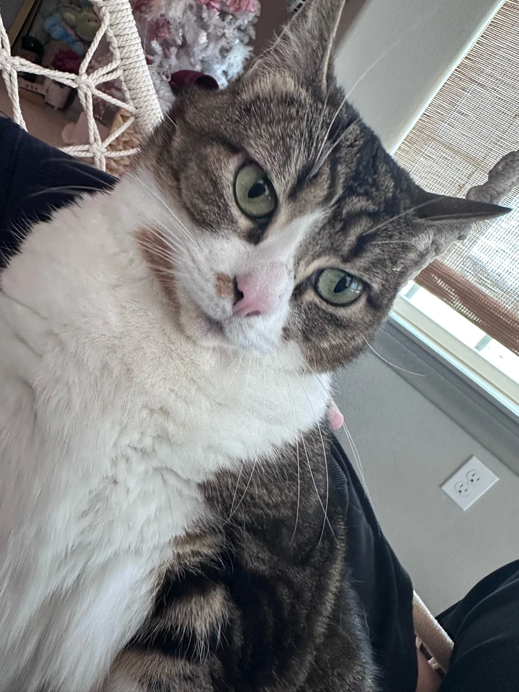 Image uploaded by Estella