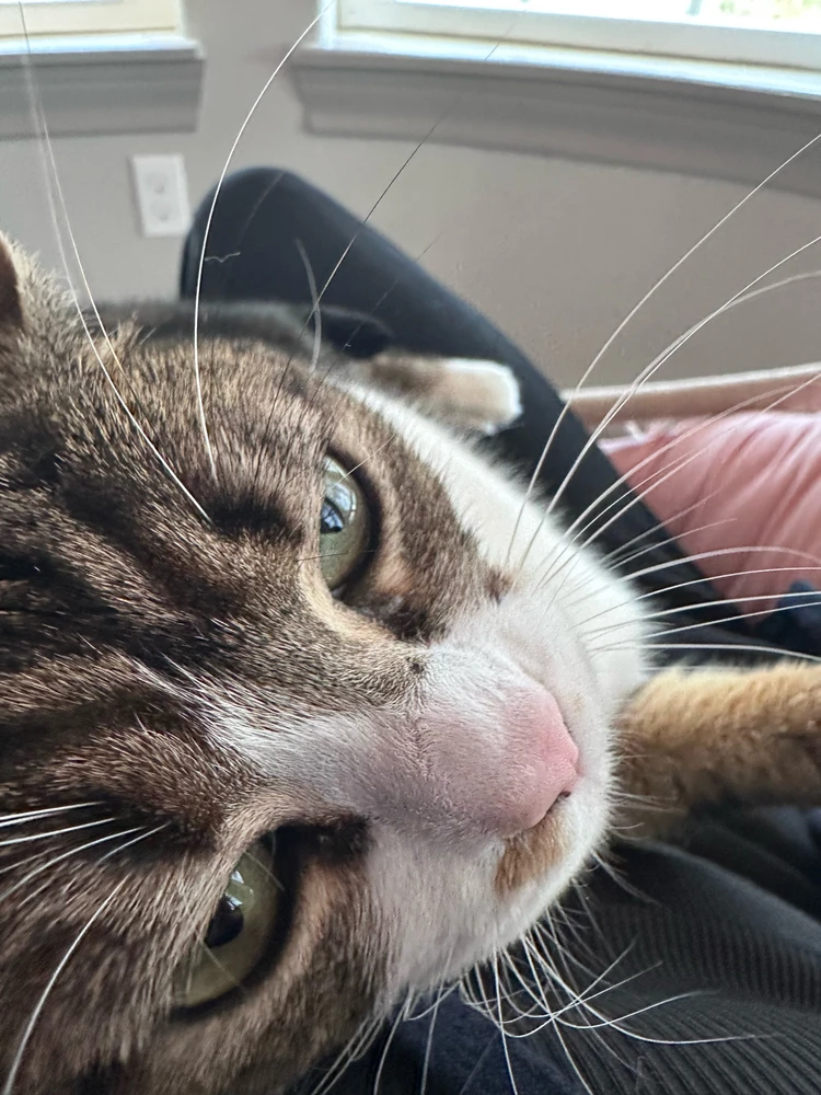 Image uploaded by Estella