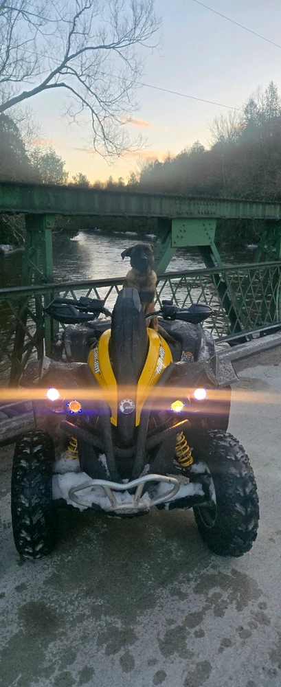 GIF uploaded by Elliot