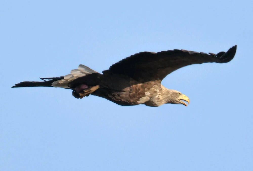 GIF hochgeladen von Jessi