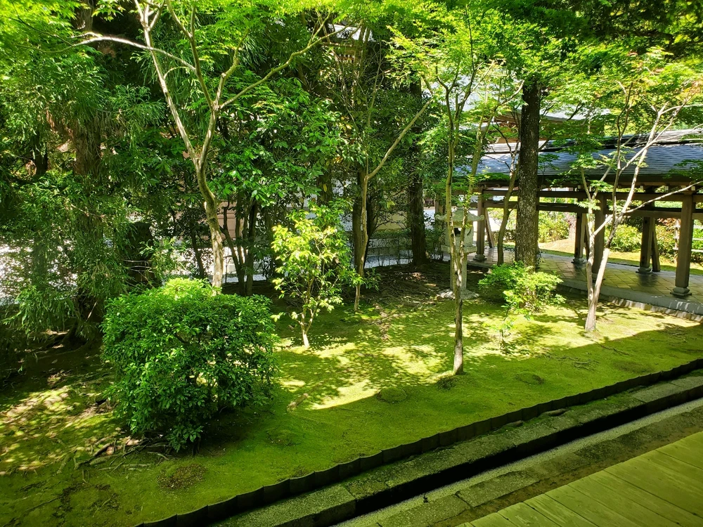 GIF uploaded by Simon