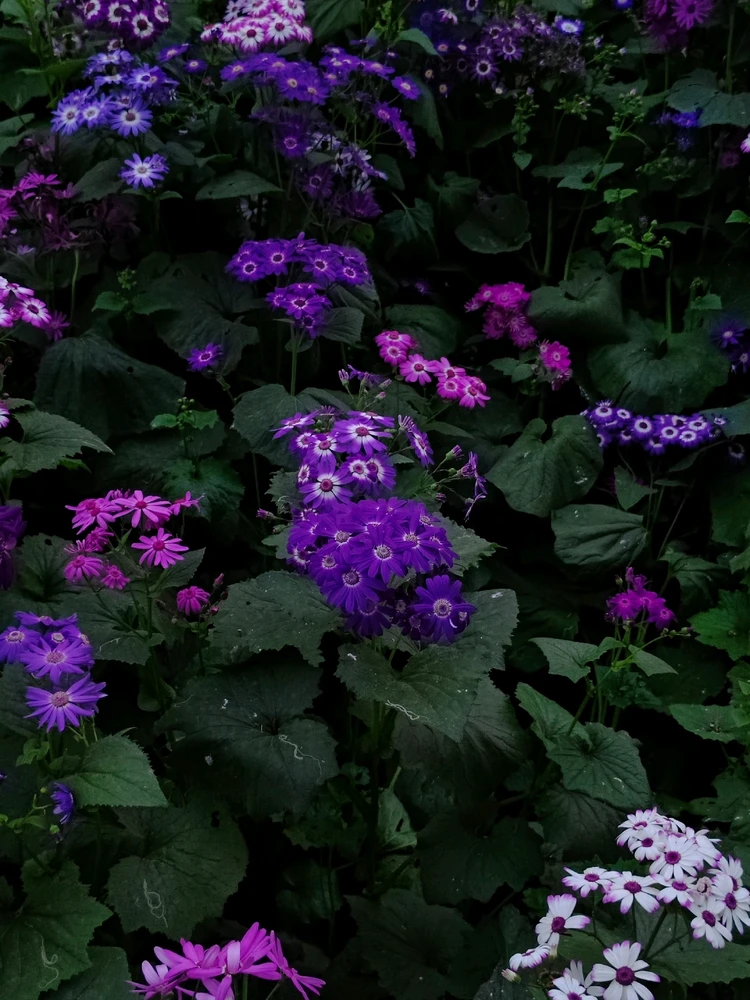 GIF uploaded by Shubham