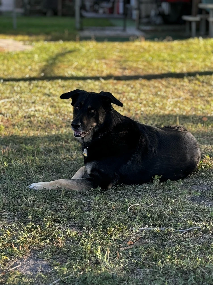 GIF uploaded by Nathan