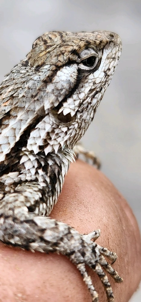 GIF uploaded by Aiden