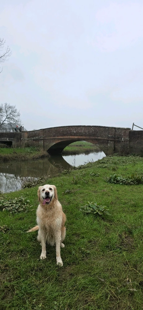 GIF uploaded by Marley