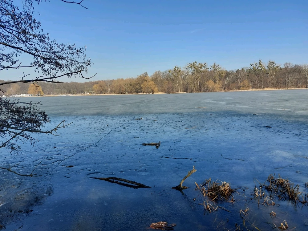 GIF dodany przez Piotr