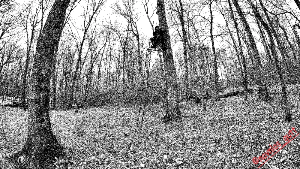 Image uploaded by Mike