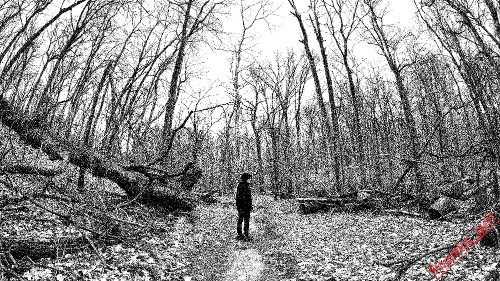 Image uploaded by Mike