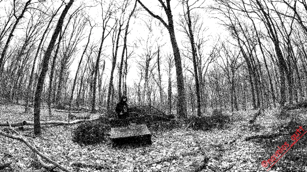 Image uploaded by Mike